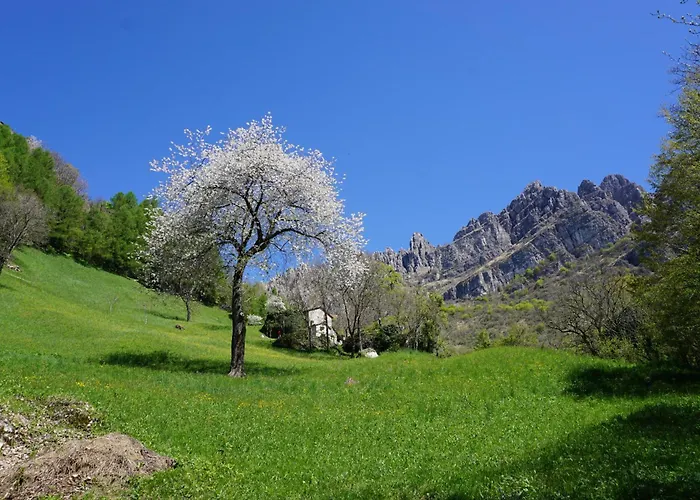 The Family Haven, Large A Few Steps From The Lake, With Garage! Appartement